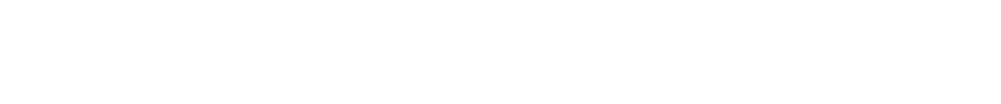 장정